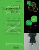 Journal Of Experimental Botany投稿