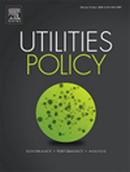 Utilities Policy投稿