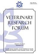 Veterinary Research Forum投稿