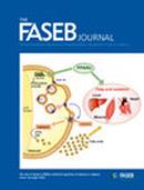 Faseb Journal投稿