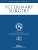 Veterinary Surgery投稿