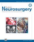 Turkish Neurosurgery投稿