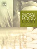 Global Food Security-agriculture Policy Economics And Environment投稿