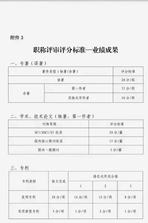 职称评审评分标准业绩成果加分表