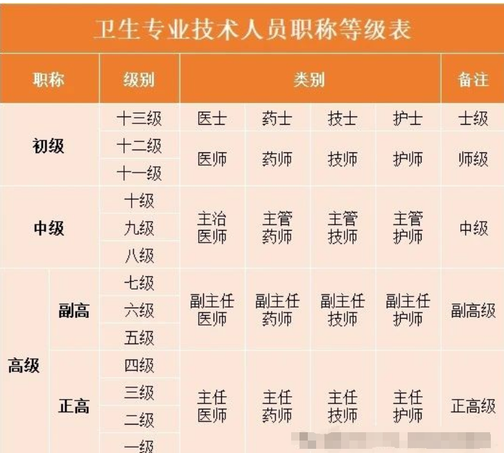 医务人员十三级等级对应的职称及分类